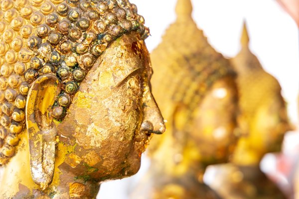 La  diversité des expressions spirituelles